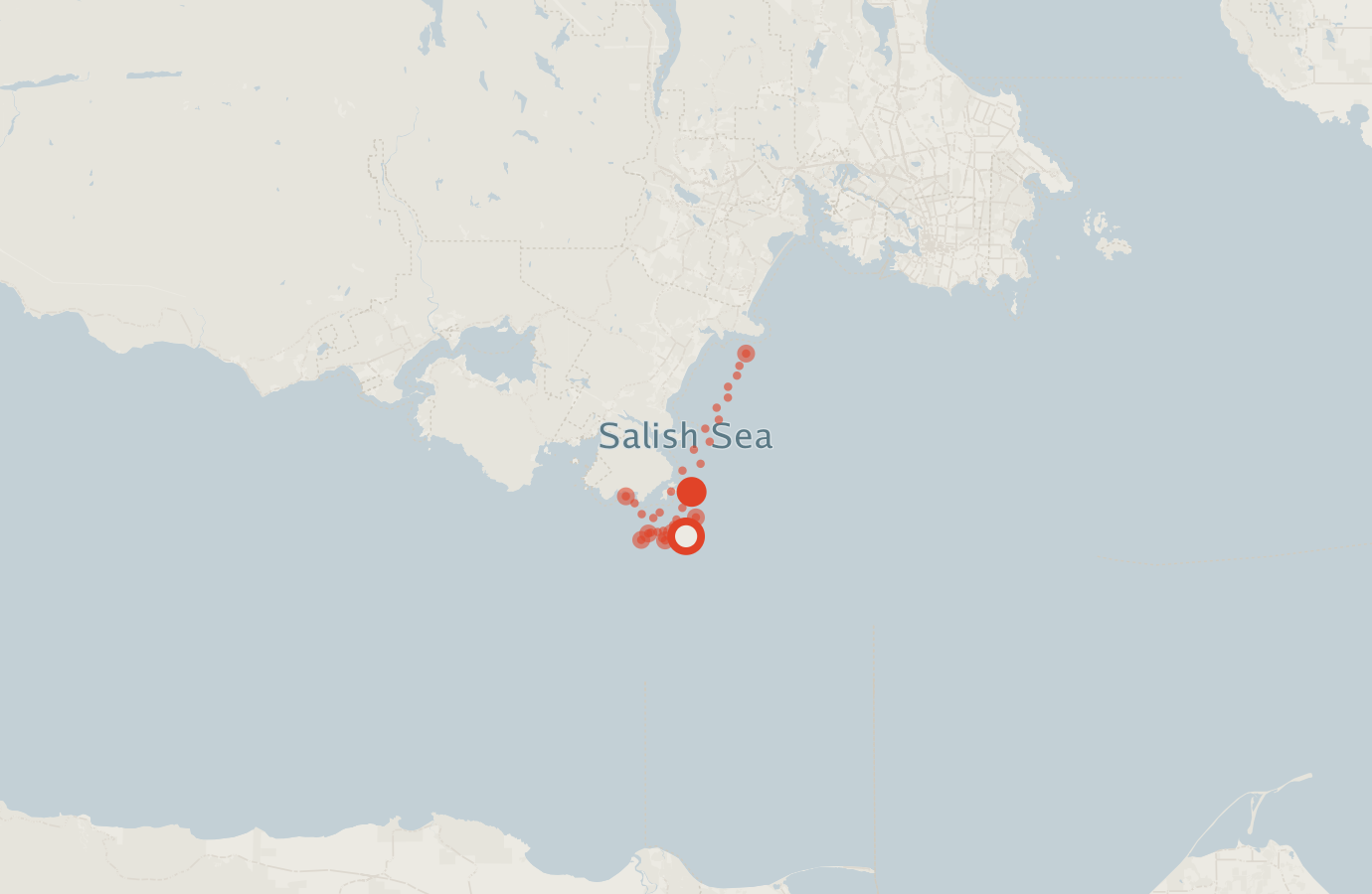 Activity map — real sighting points on an OpenStreetMap basemap