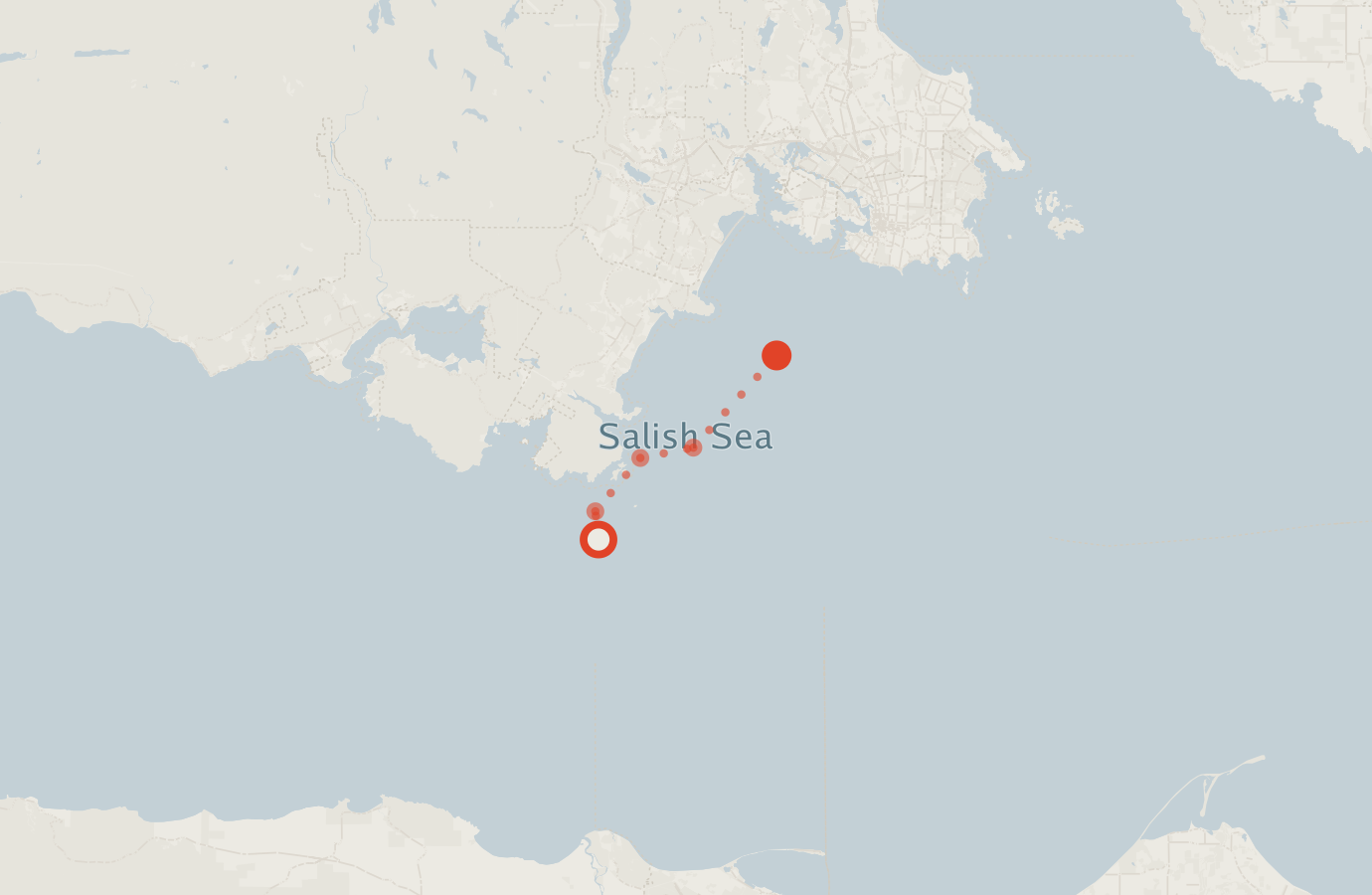 Activity map — real sighting points on an OpenStreetMap basemap