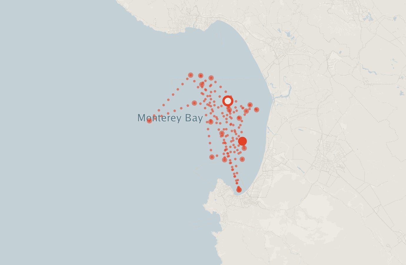 Activity map — real sighting points on an OpenStreetMap basemap
