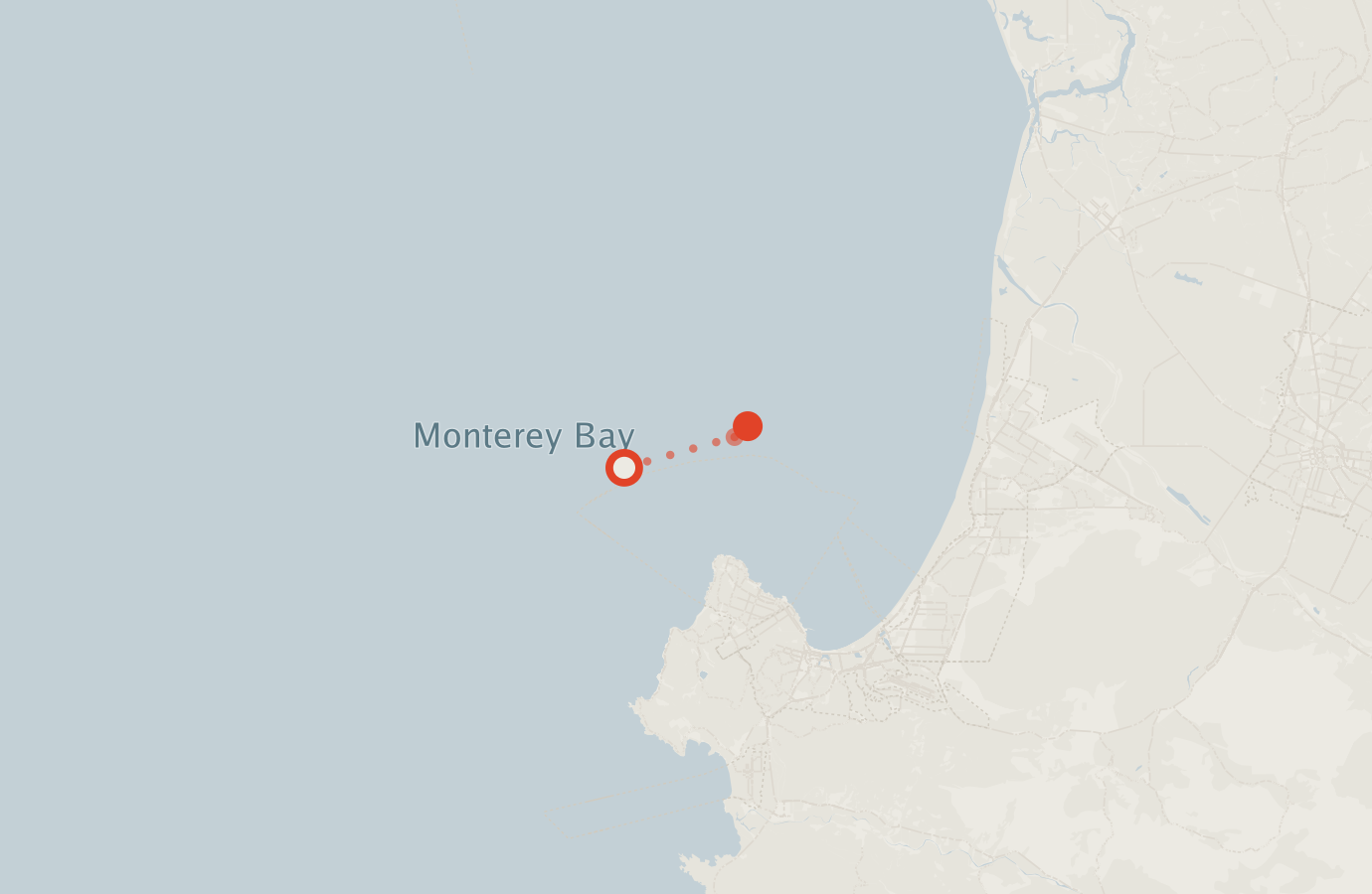 Activity map — real sighting points on an OpenStreetMap basemap
