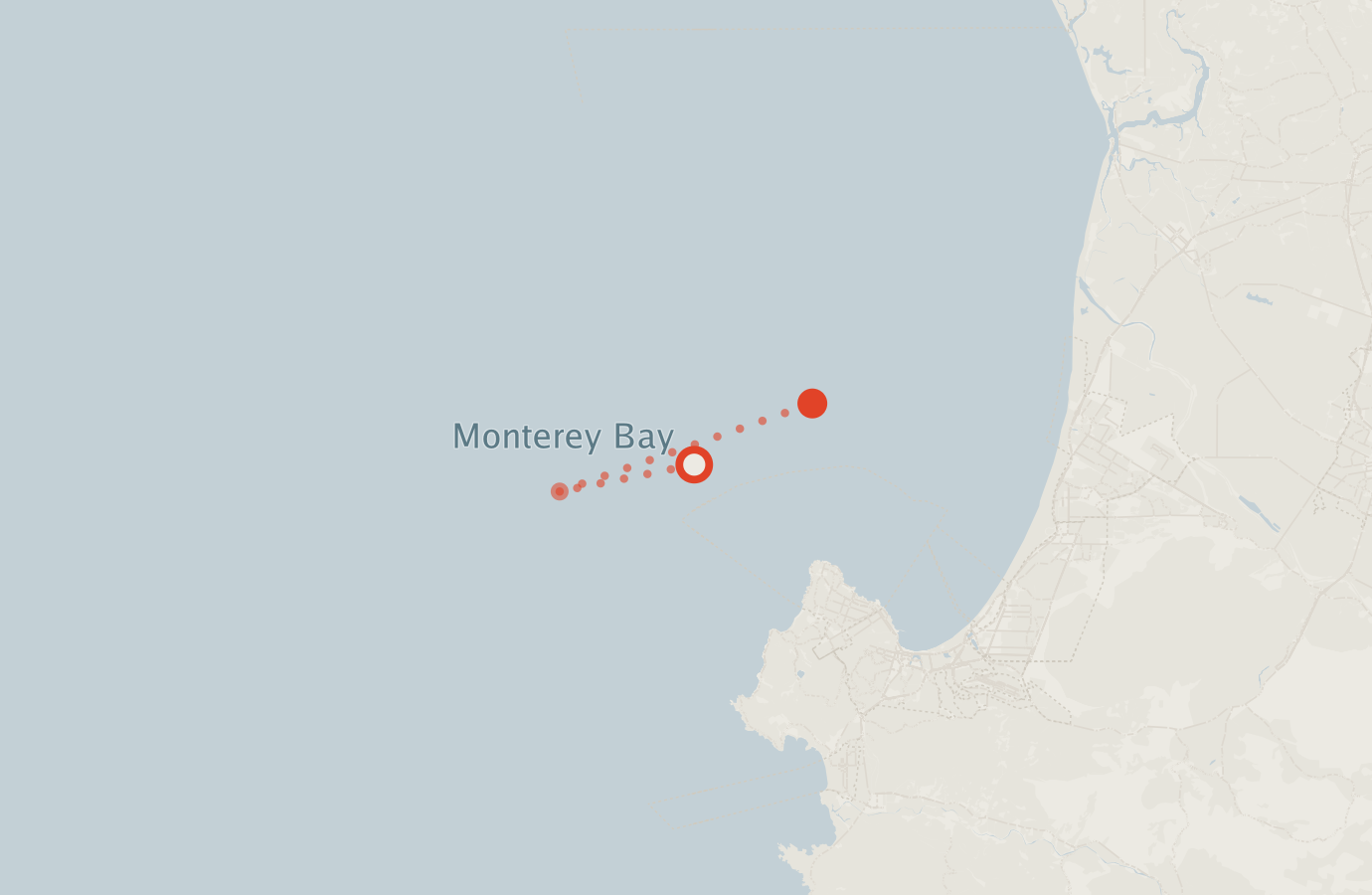 Activity map — real sighting points on an OpenStreetMap basemap