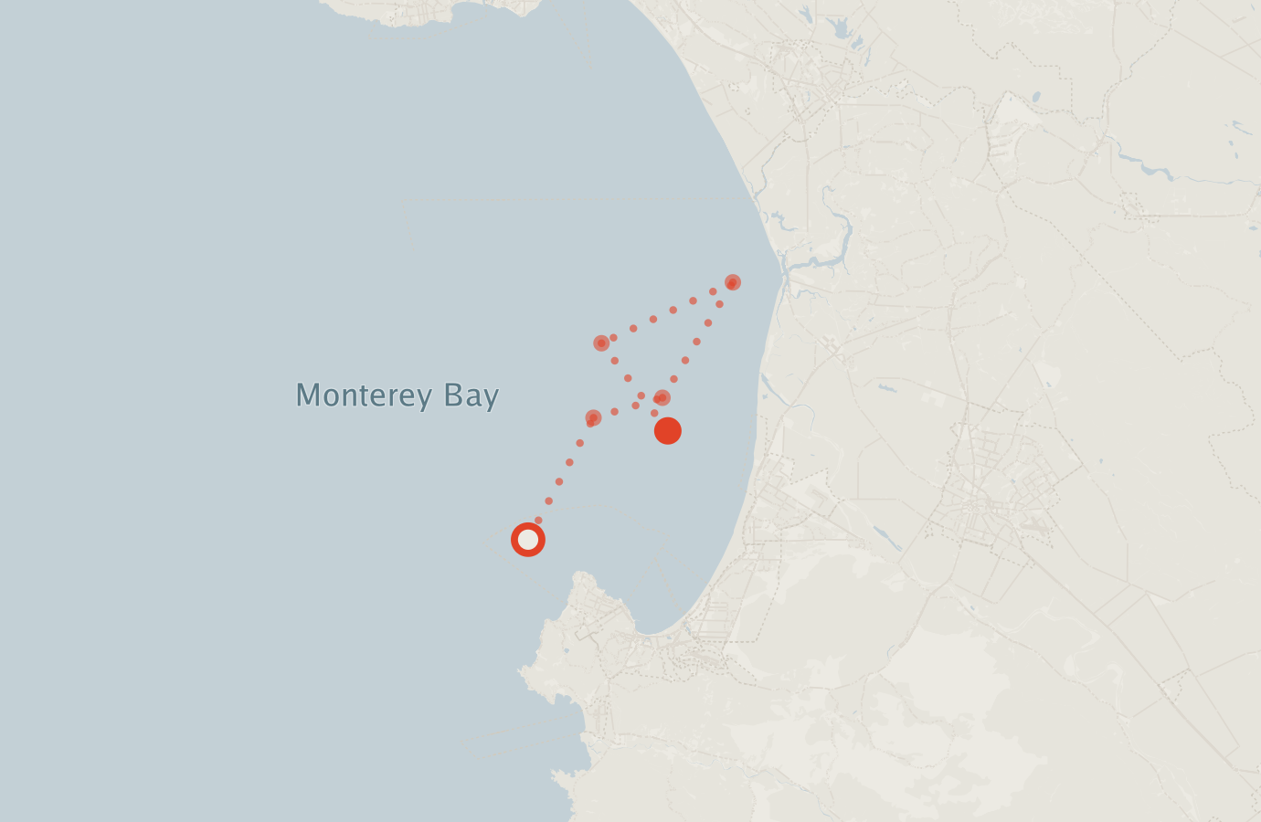 Activity map — real sighting points on an OpenStreetMap basemap
