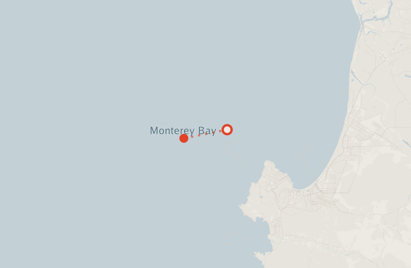 Activity map — real sighting points on an OpenStreetMap basemap