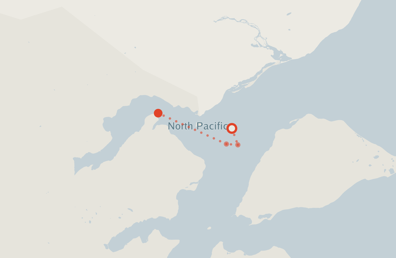 Activity map — real sighting points on an OpenStreetMap basemap