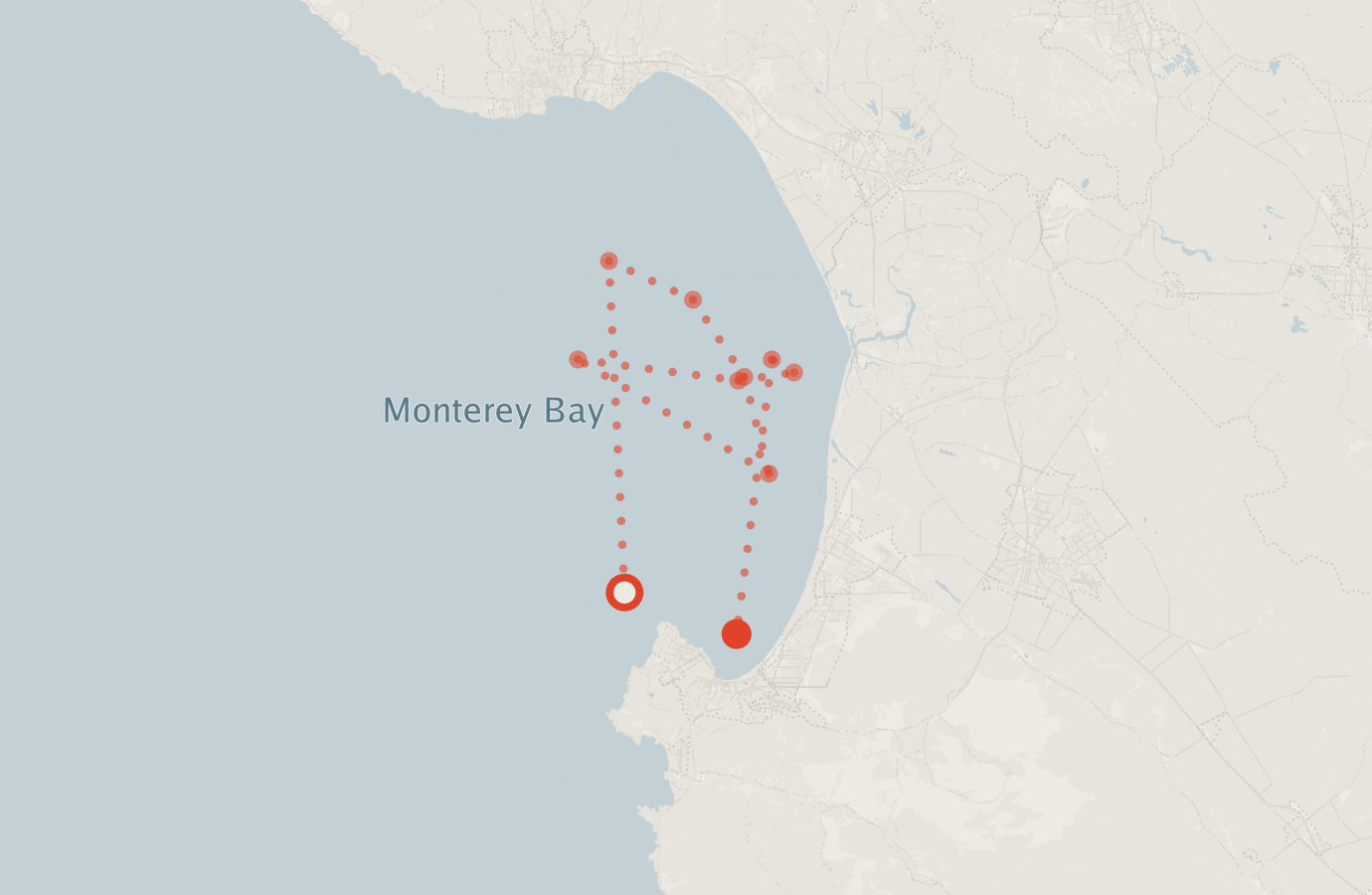 Activity map — real sighting points on an OpenStreetMap basemap