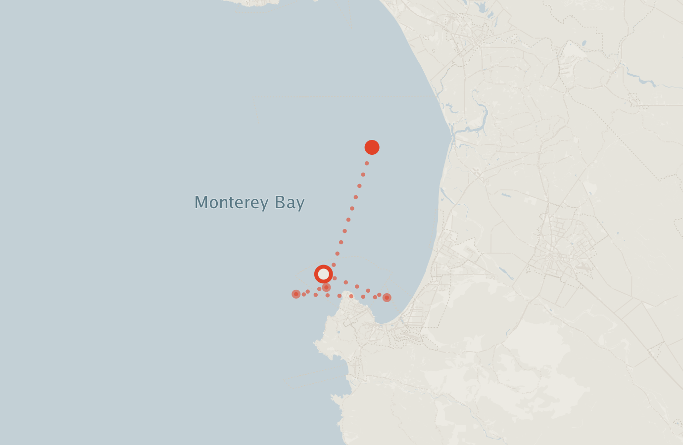 Activity map — real sighting points on an OpenStreetMap basemap