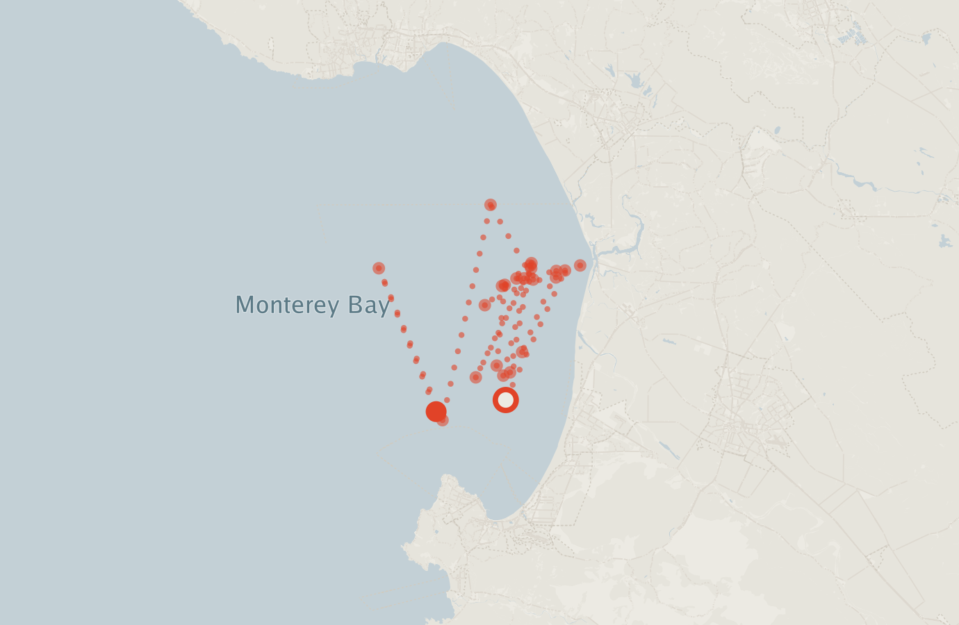 Activity map — real sighting points on an OpenStreetMap basemap