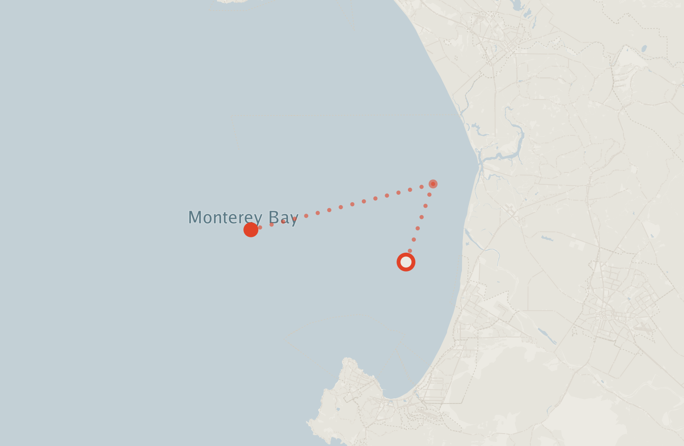 Activity map — real sighting points on an OpenStreetMap basemap
