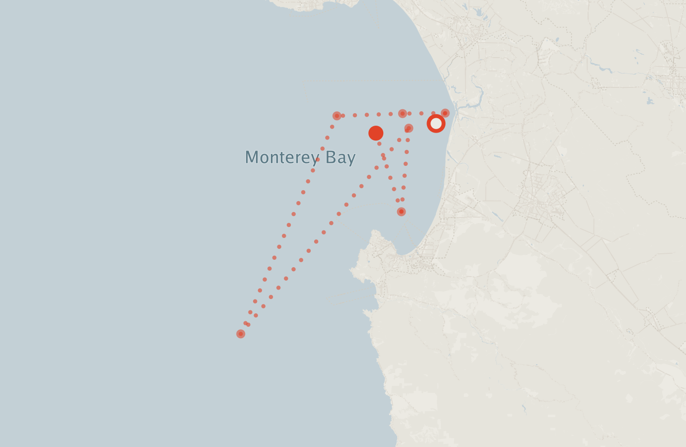 Activity map — real sighting points on an OpenStreetMap basemap