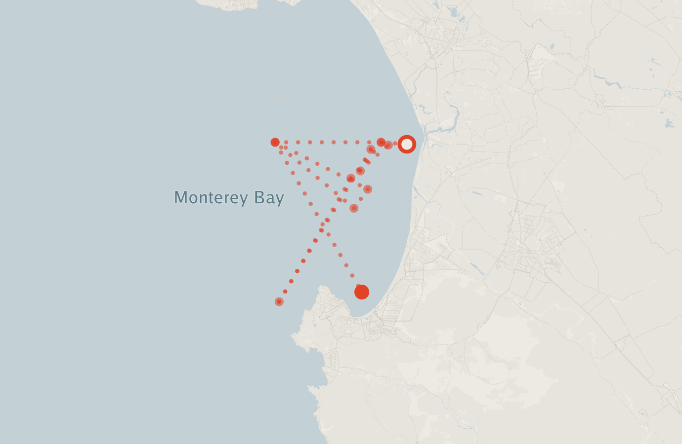 Activity map — real sighting points on an OpenStreetMap basemap