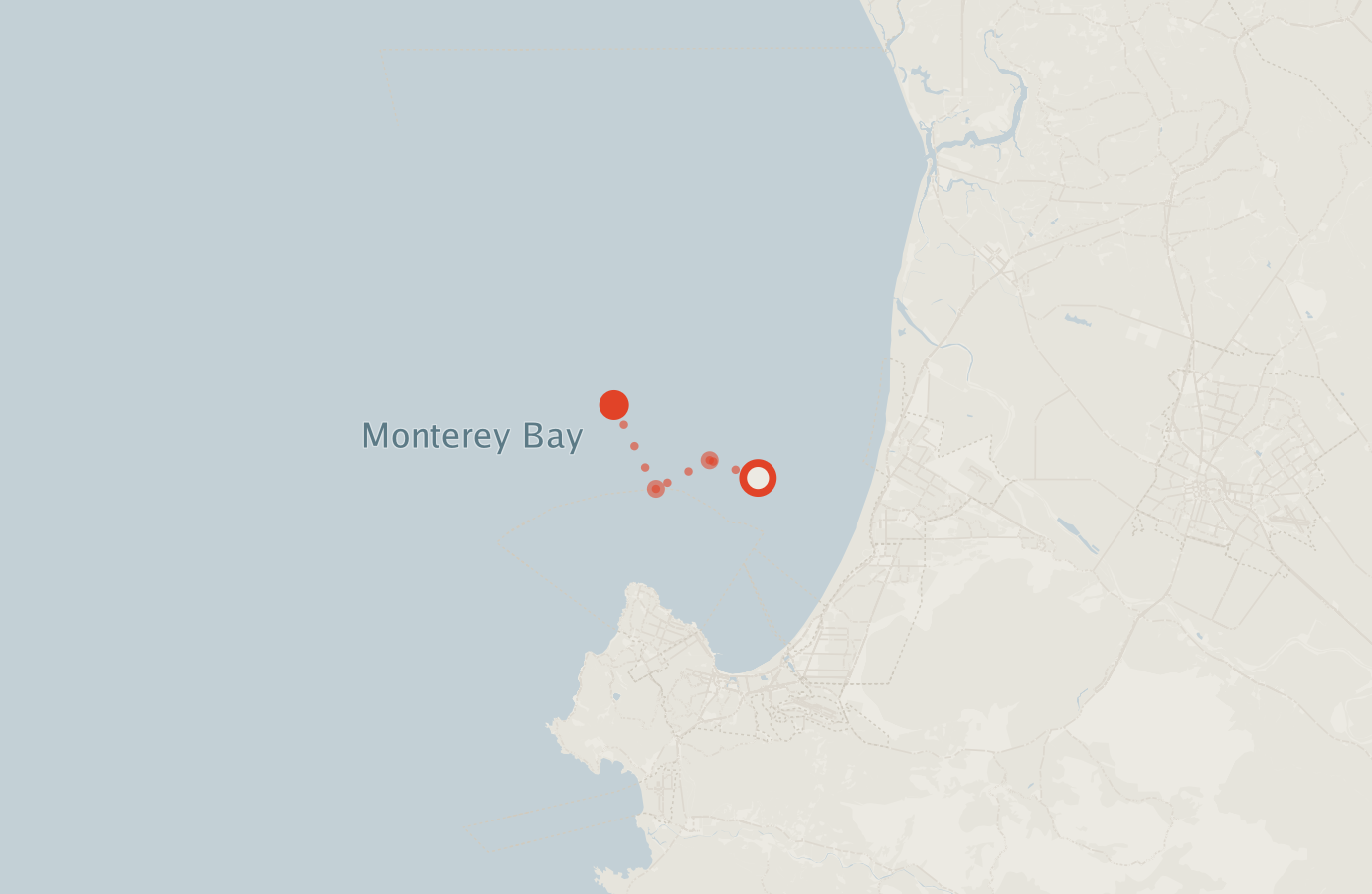 Activity map — real sighting points on an OpenStreetMap basemap