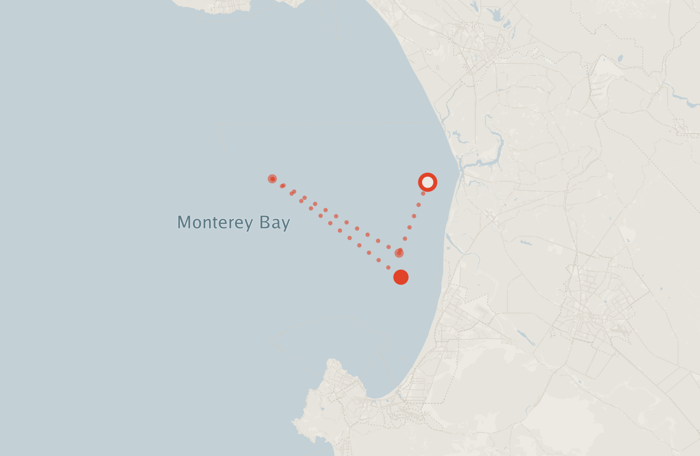 Activity map — real sighting points on an OpenStreetMap basemap