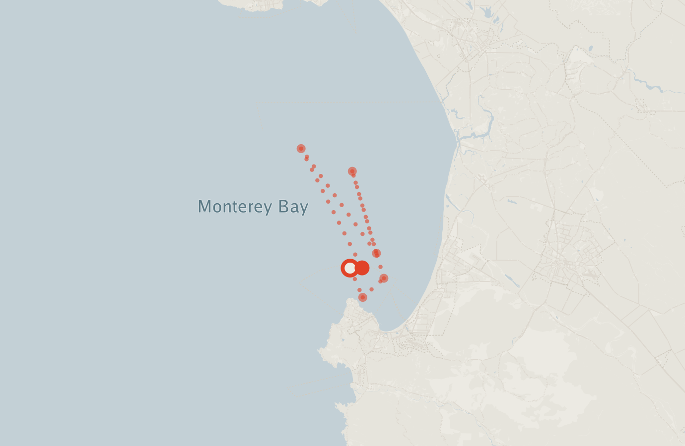 Activity map — real sighting points on an OpenStreetMap basemap