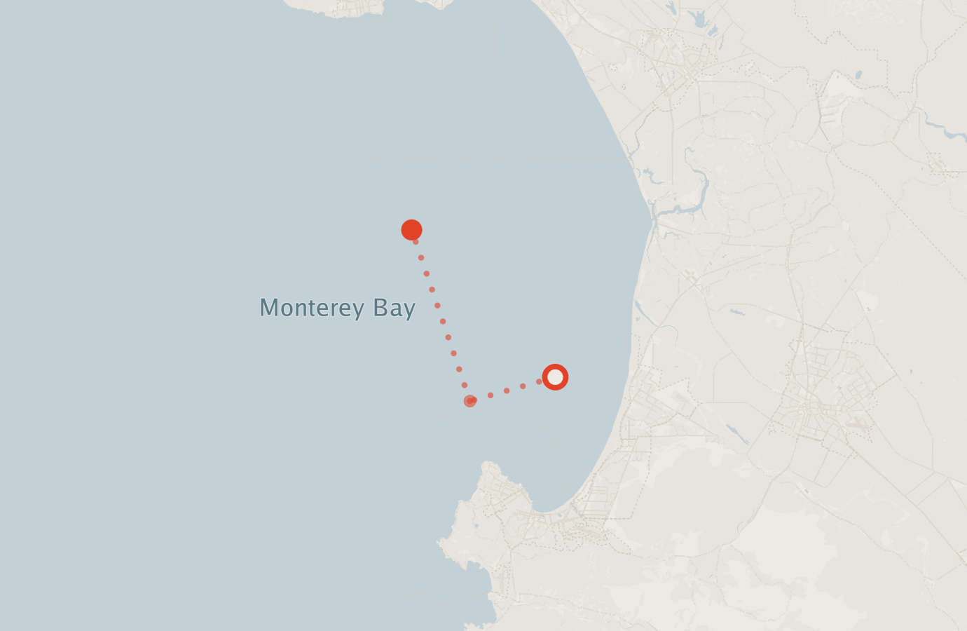 Activity map — real sighting points on an OpenStreetMap basemap