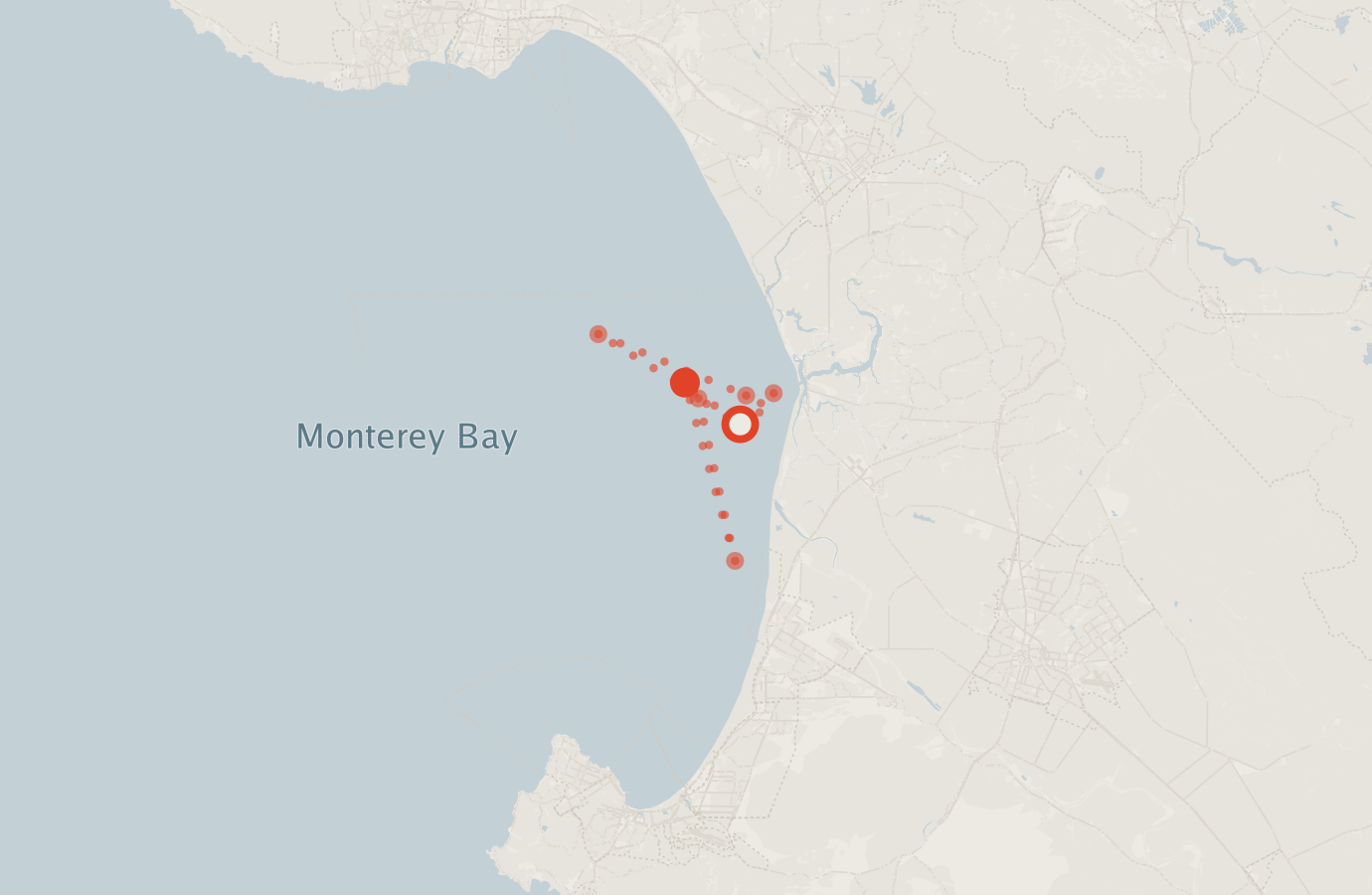 Activity map — real sighting points on an OpenStreetMap basemap