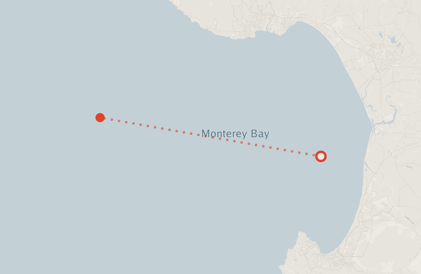 Activity map — real sighting points on an OpenStreetMap basemap