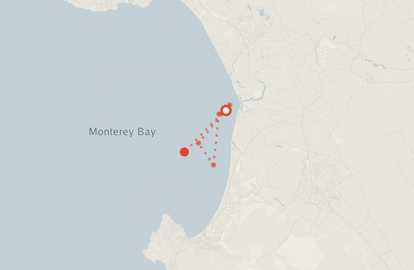 Activity map — real sighting points on an OpenStreetMap basemap