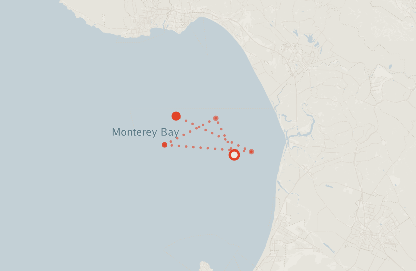Activity map — real sighting points on an OpenStreetMap basemap