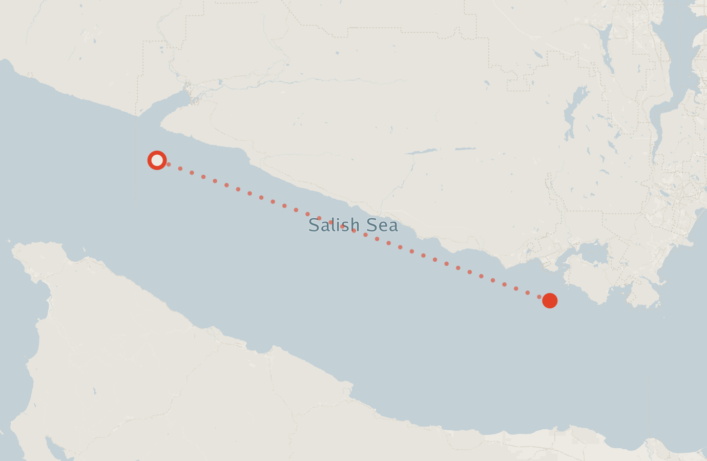 Activity map — real sighting points on an OpenStreetMap basemap