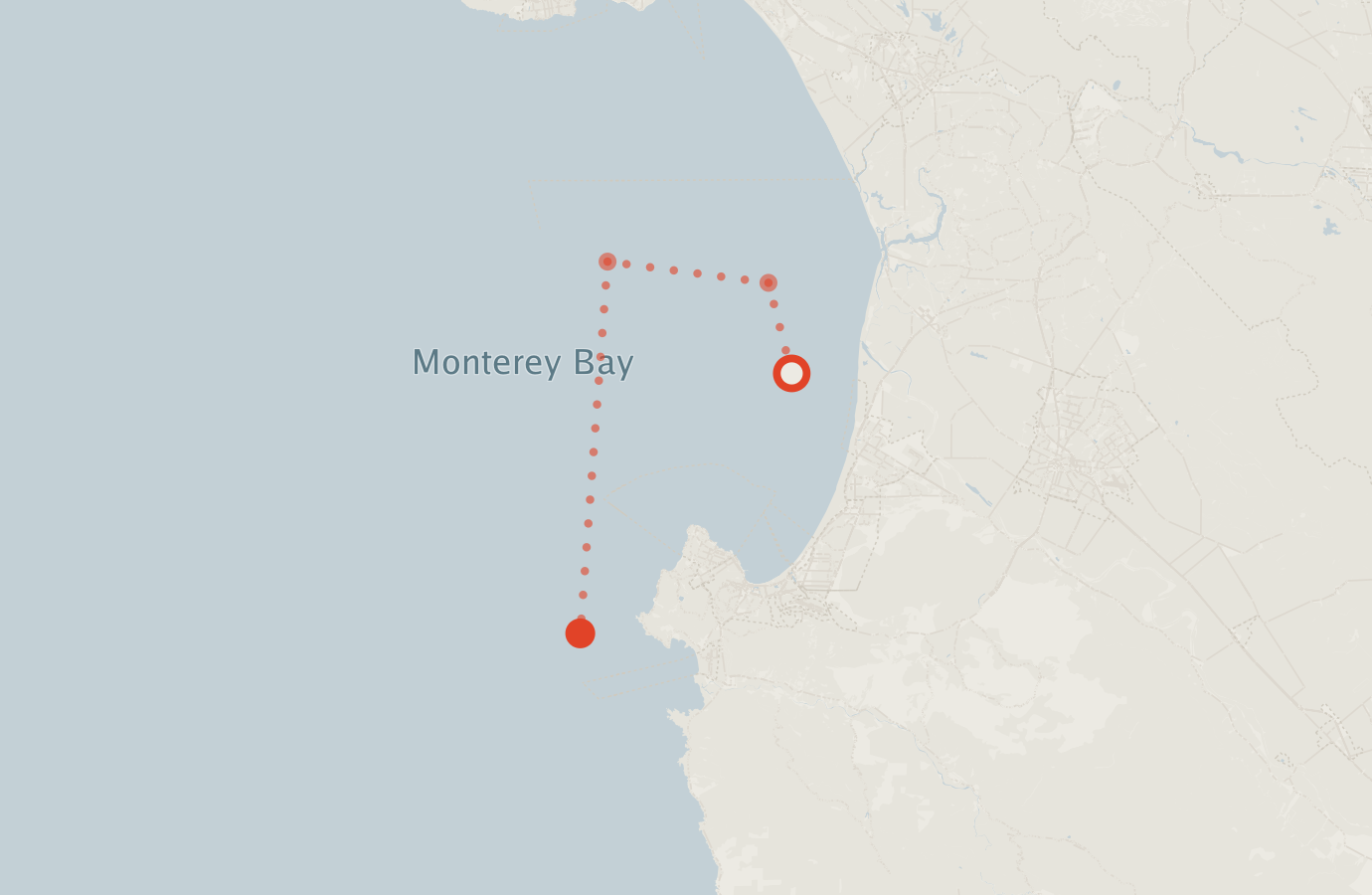 Activity map — real sighting points on an OpenStreetMap basemap