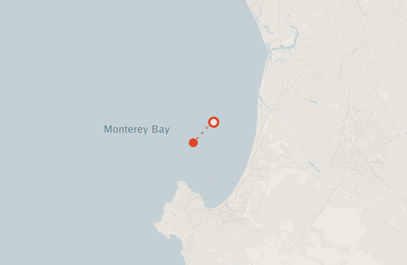 Activity map — real sighting points on an OpenStreetMap basemap