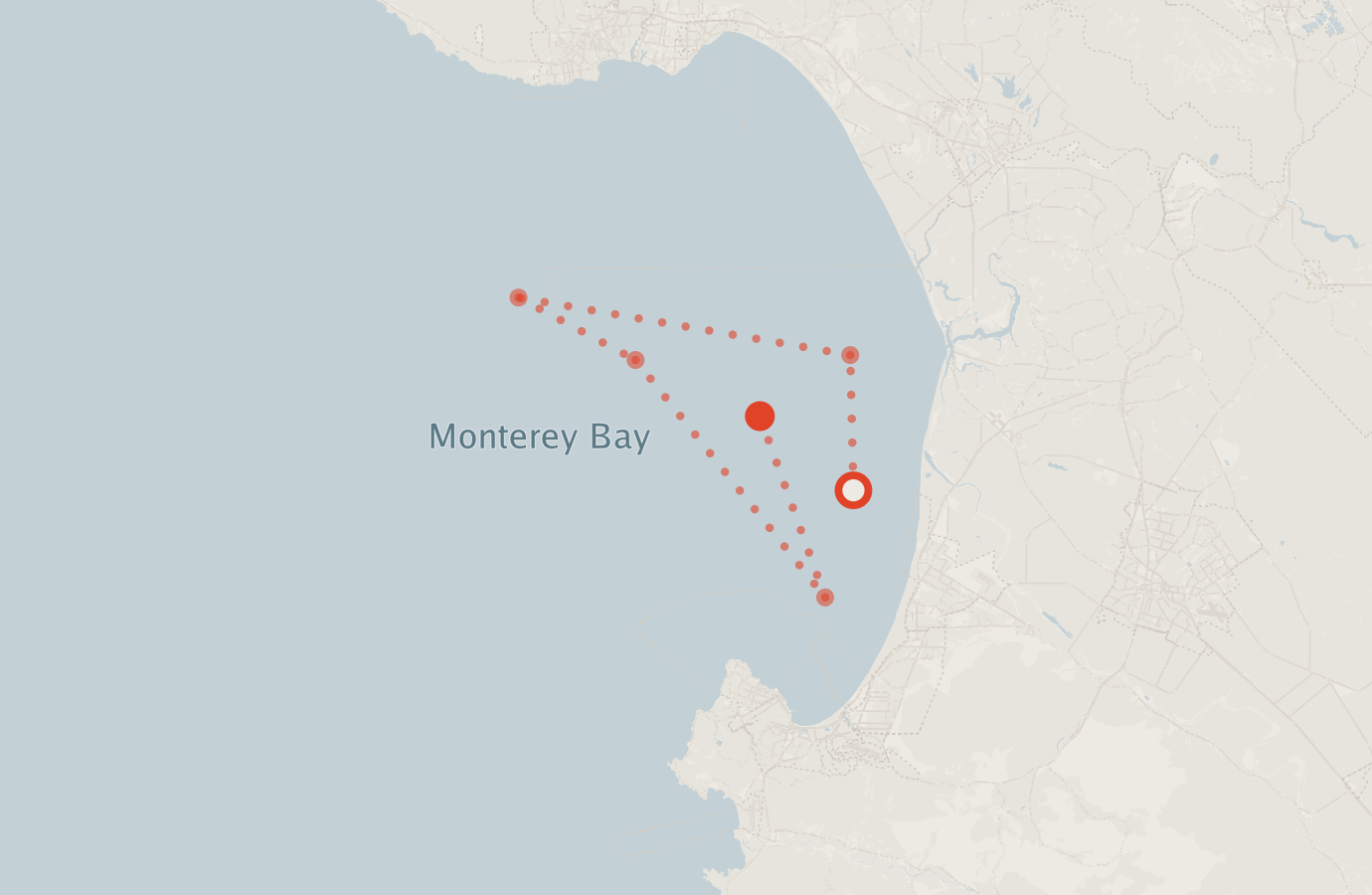 Activity map — real sighting points on an OpenStreetMap basemap