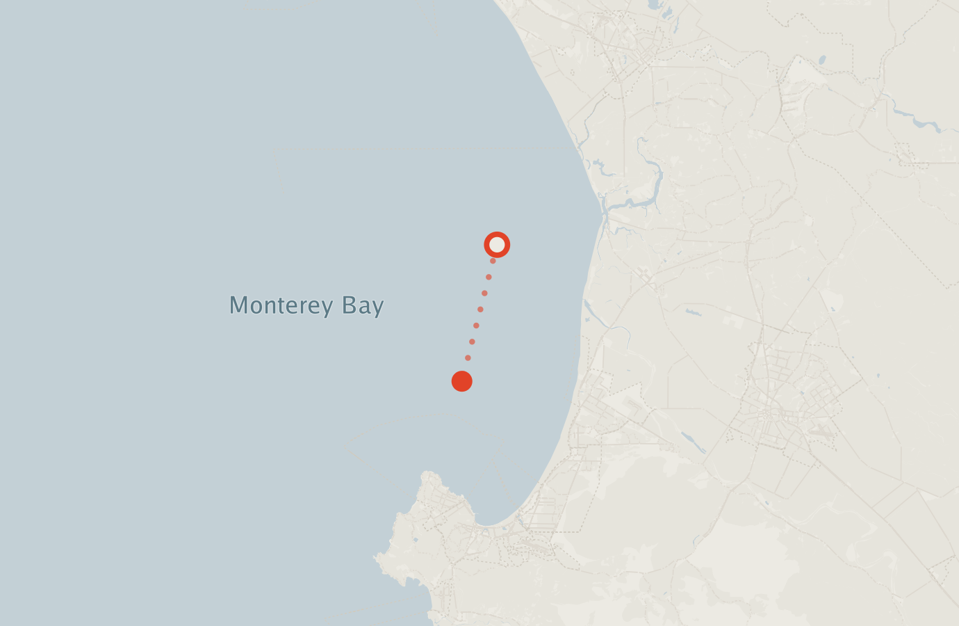 Activity map — real sighting points on an OpenStreetMap basemap