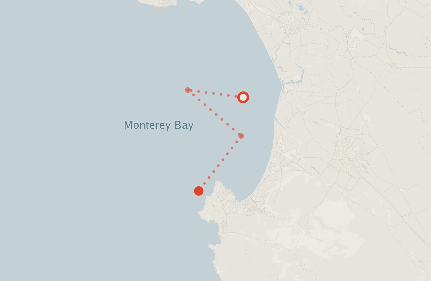 Activity map — real sighting points on an OpenStreetMap basemap