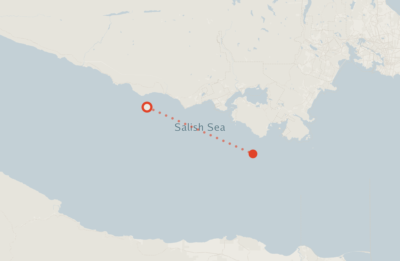 Activity map — real sighting points on an OpenStreetMap basemap