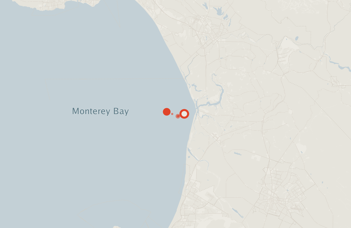 Activity map — real sighting points on an OpenStreetMap basemap