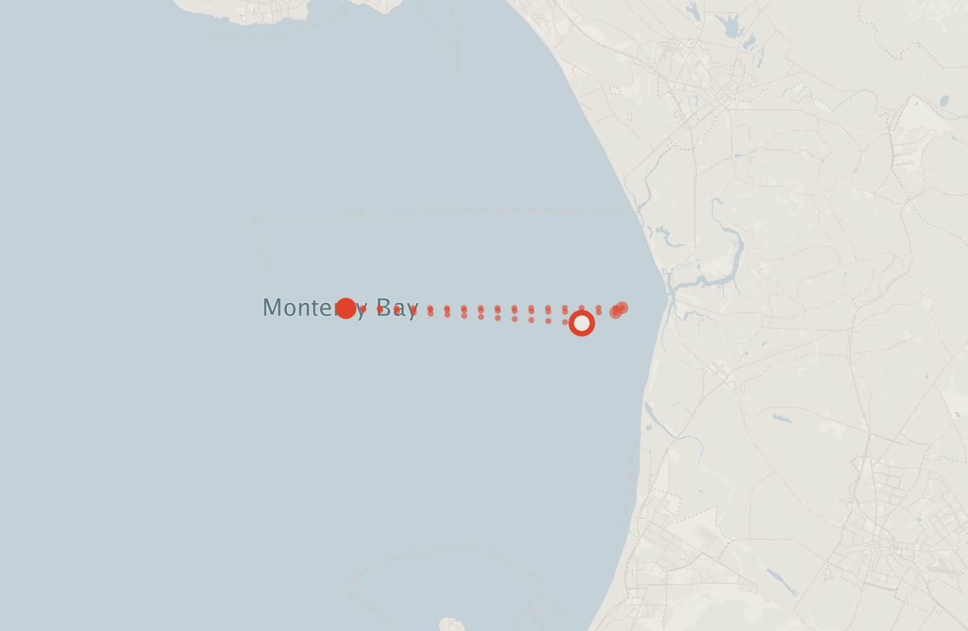 Activity map — real sighting points on an OpenStreetMap basemap