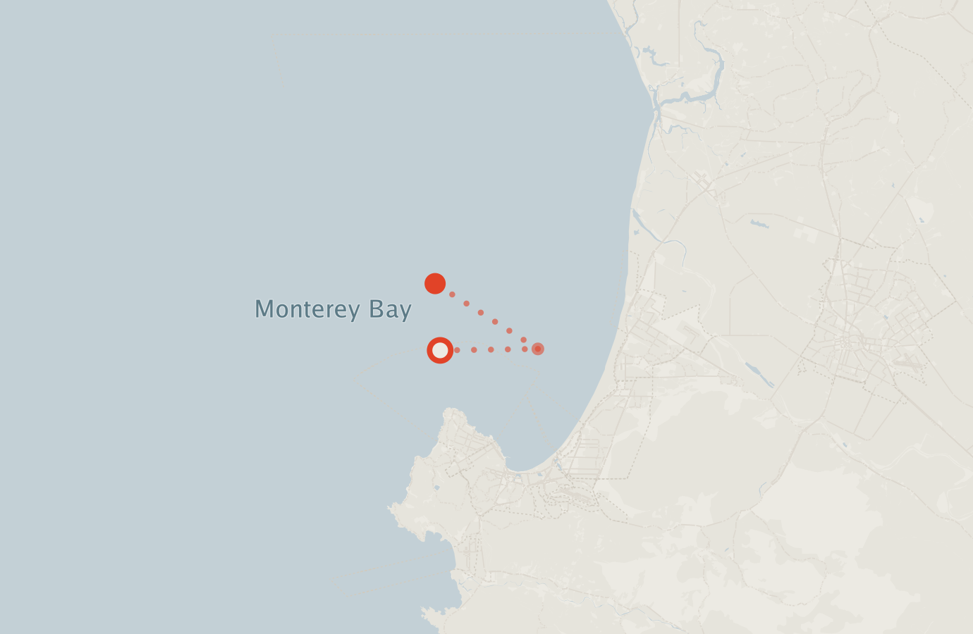 Activity map — real sighting points on an OpenStreetMap basemap