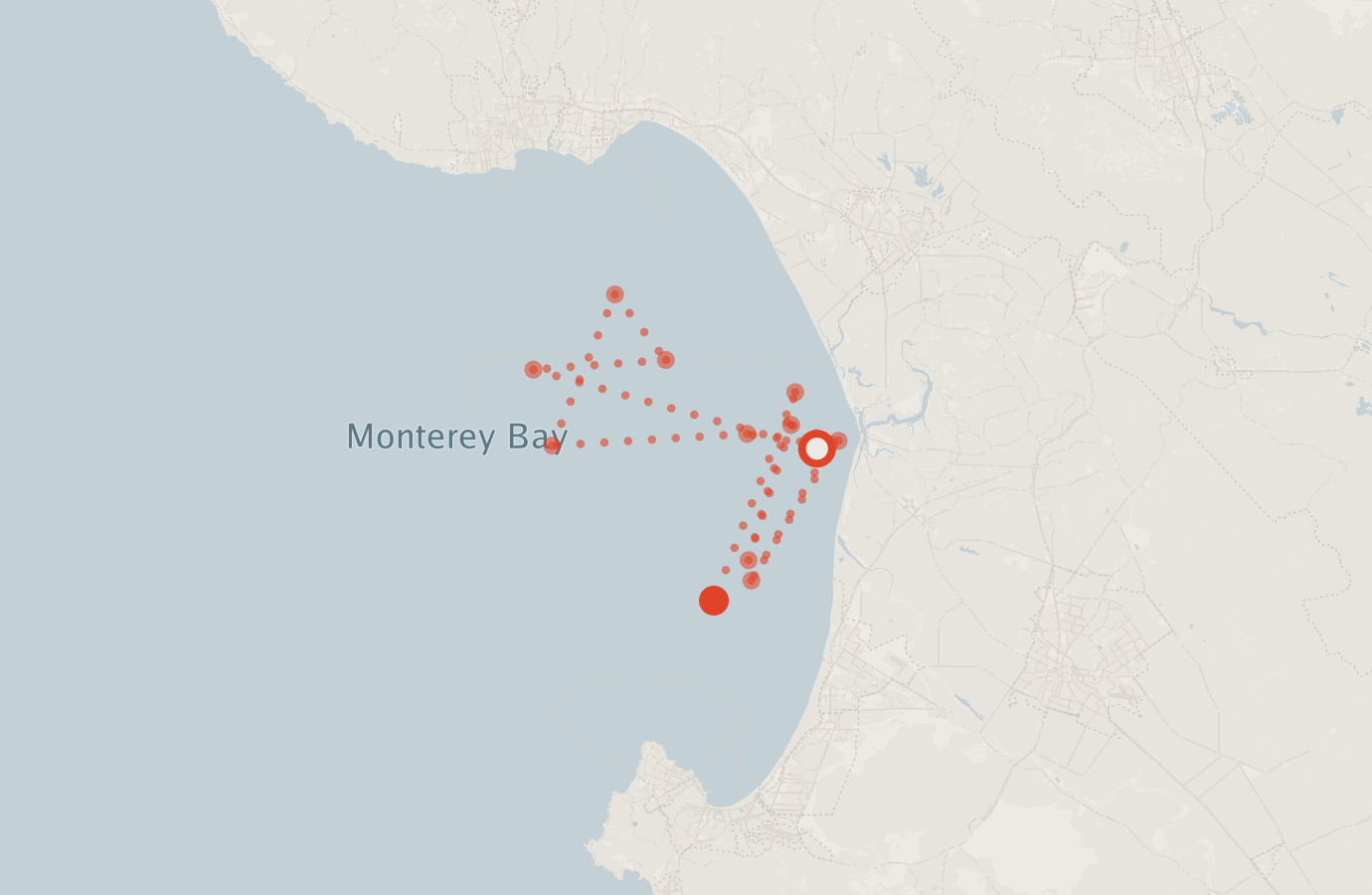 Activity map — real sighting points on an OpenStreetMap basemap