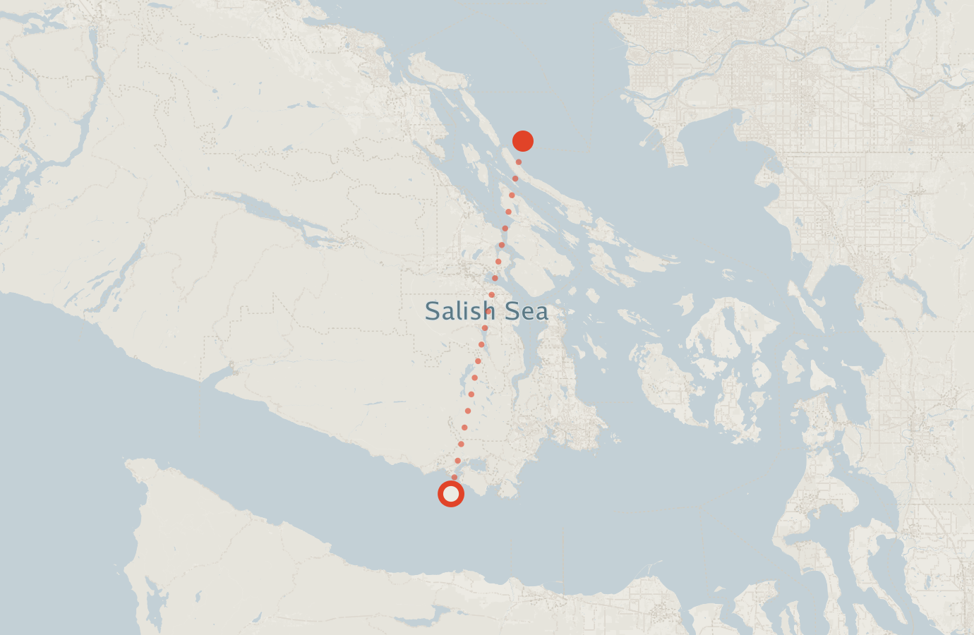Activity map — real sighting points on an OpenStreetMap basemap