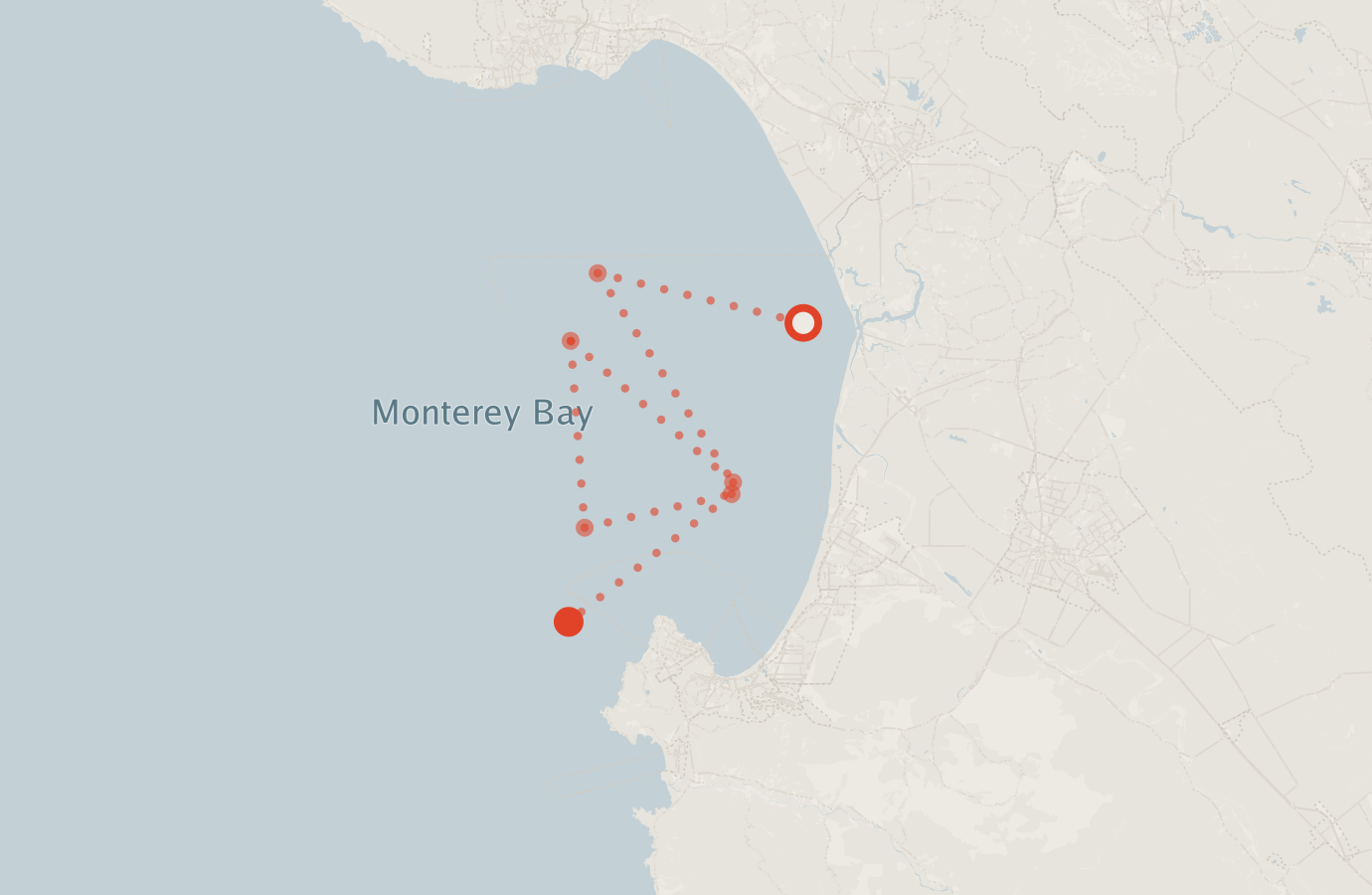 Activity map — real sighting points on an OpenStreetMap basemap