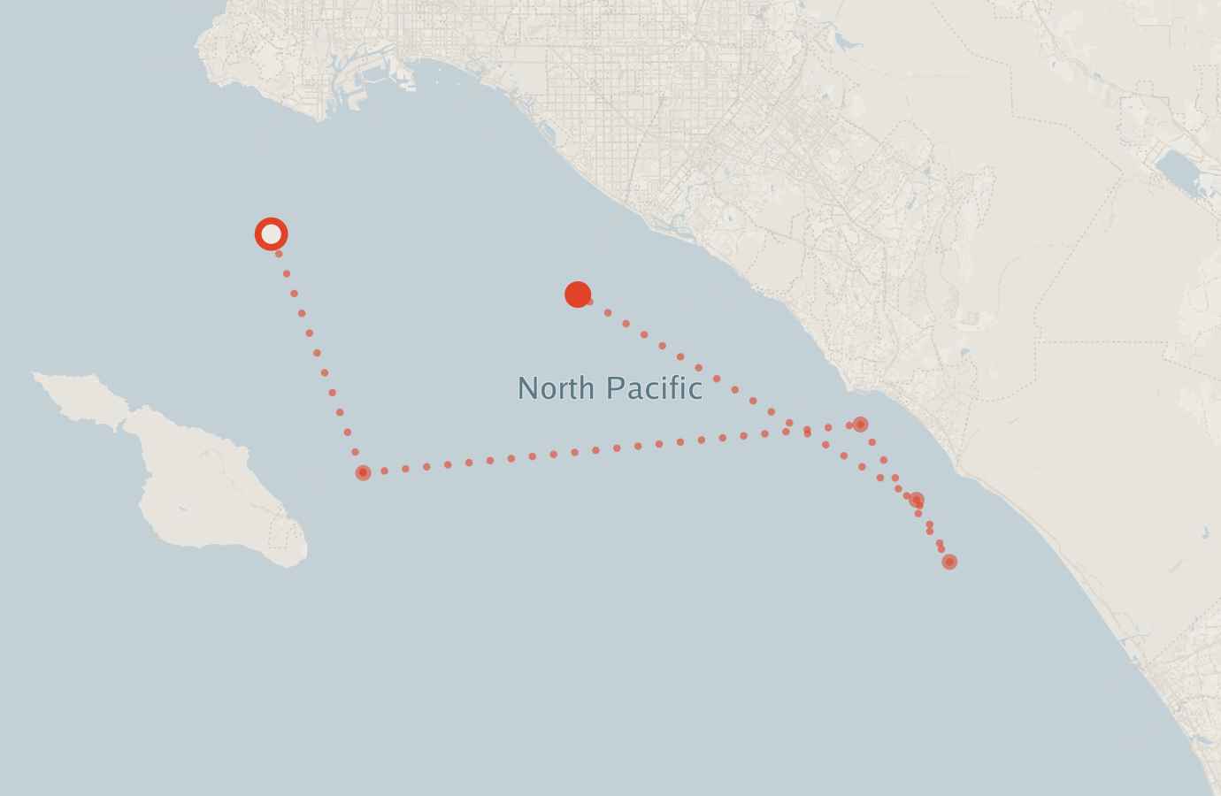 Activity map — real sighting points on an OpenStreetMap basemap