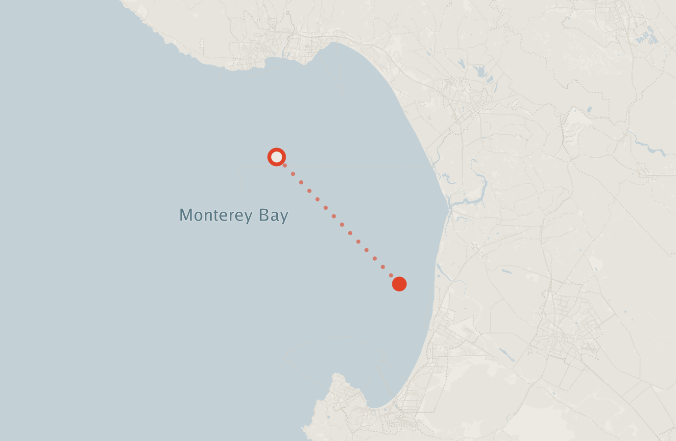 Activity map — real sighting points on an OpenStreetMap basemap