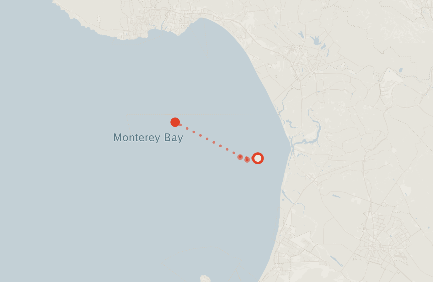 Activity map — real sighting points on an OpenStreetMap basemap