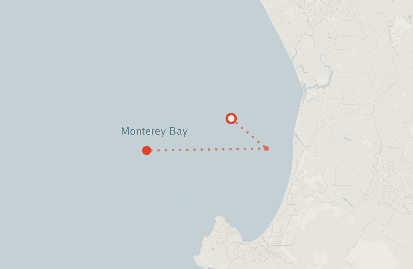 Activity map — real sighting points on an OpenStreetMap basemap