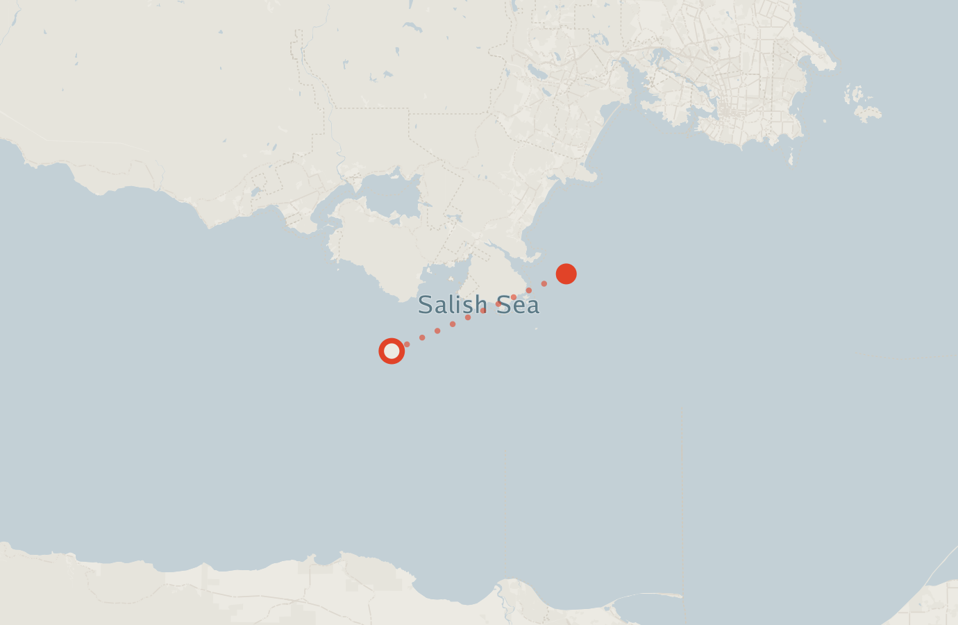Activity map — real sighting points on an OpenStreetMap basemap