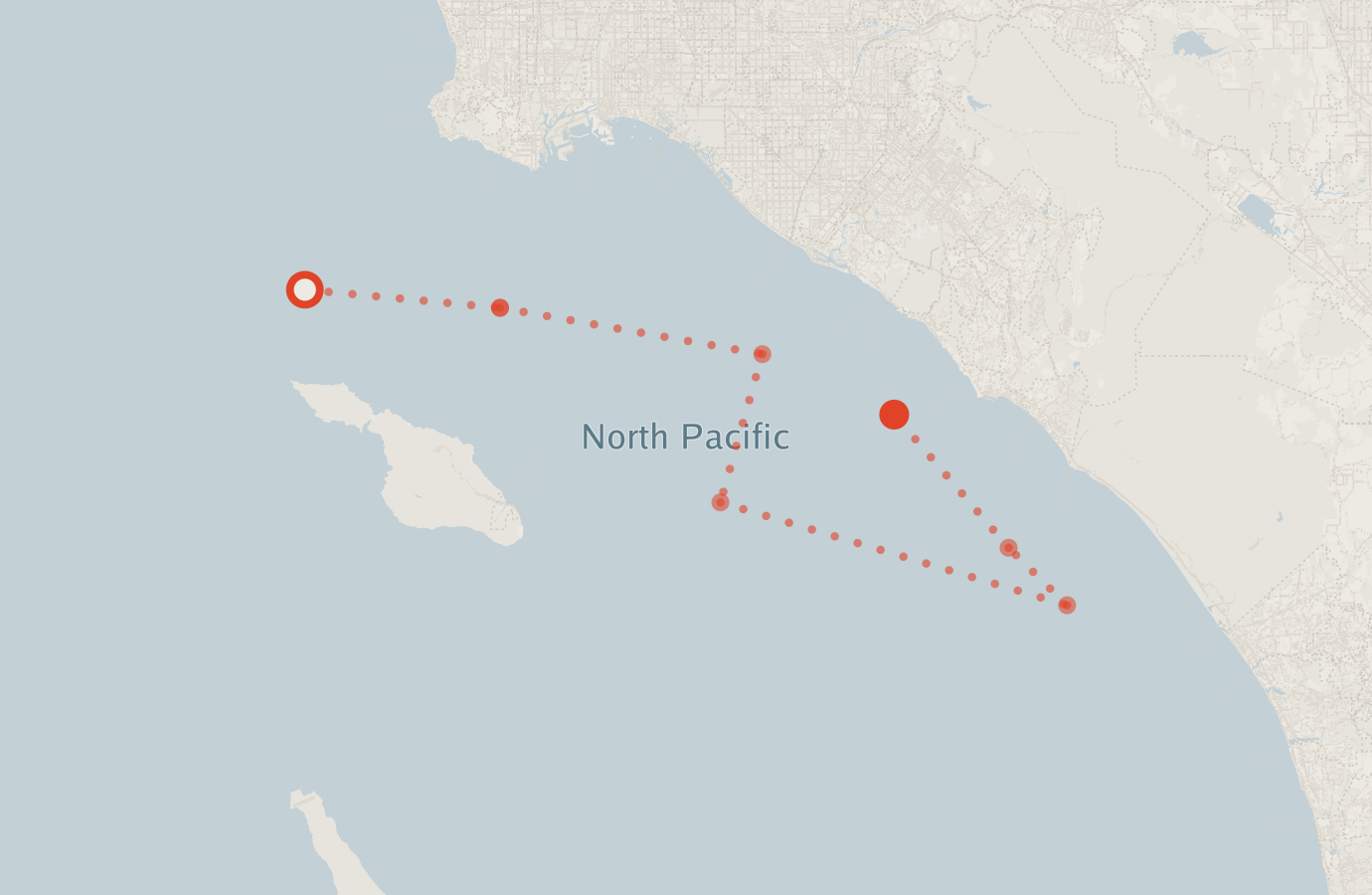 Activity map — real sighting points on an OpenStreetMap basemap
