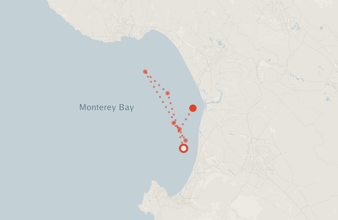 Activity map — real sighting points on an OpenStreetMap basemap