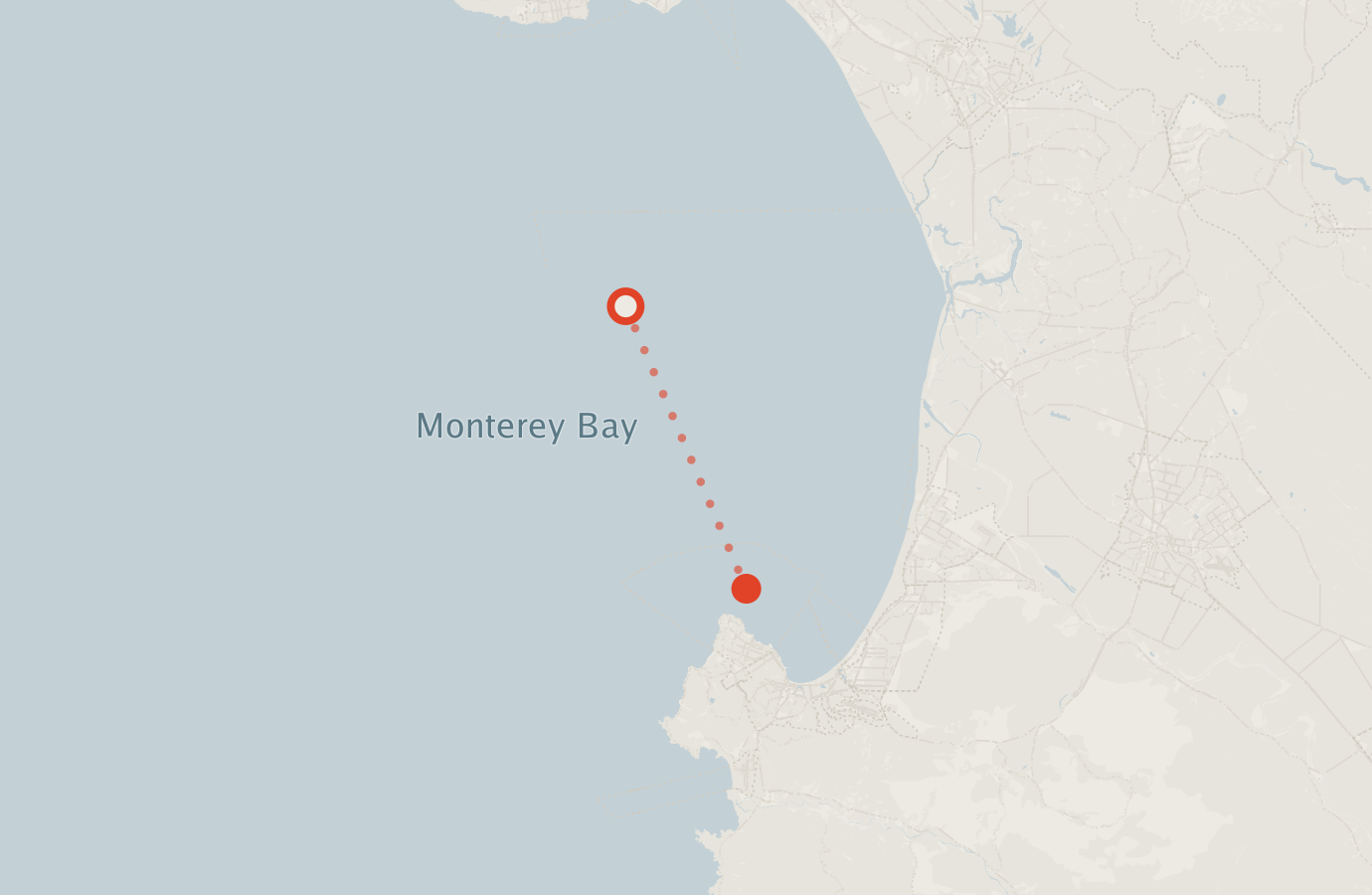 Activity map — real sighting points on an OpenStreetMap basemap