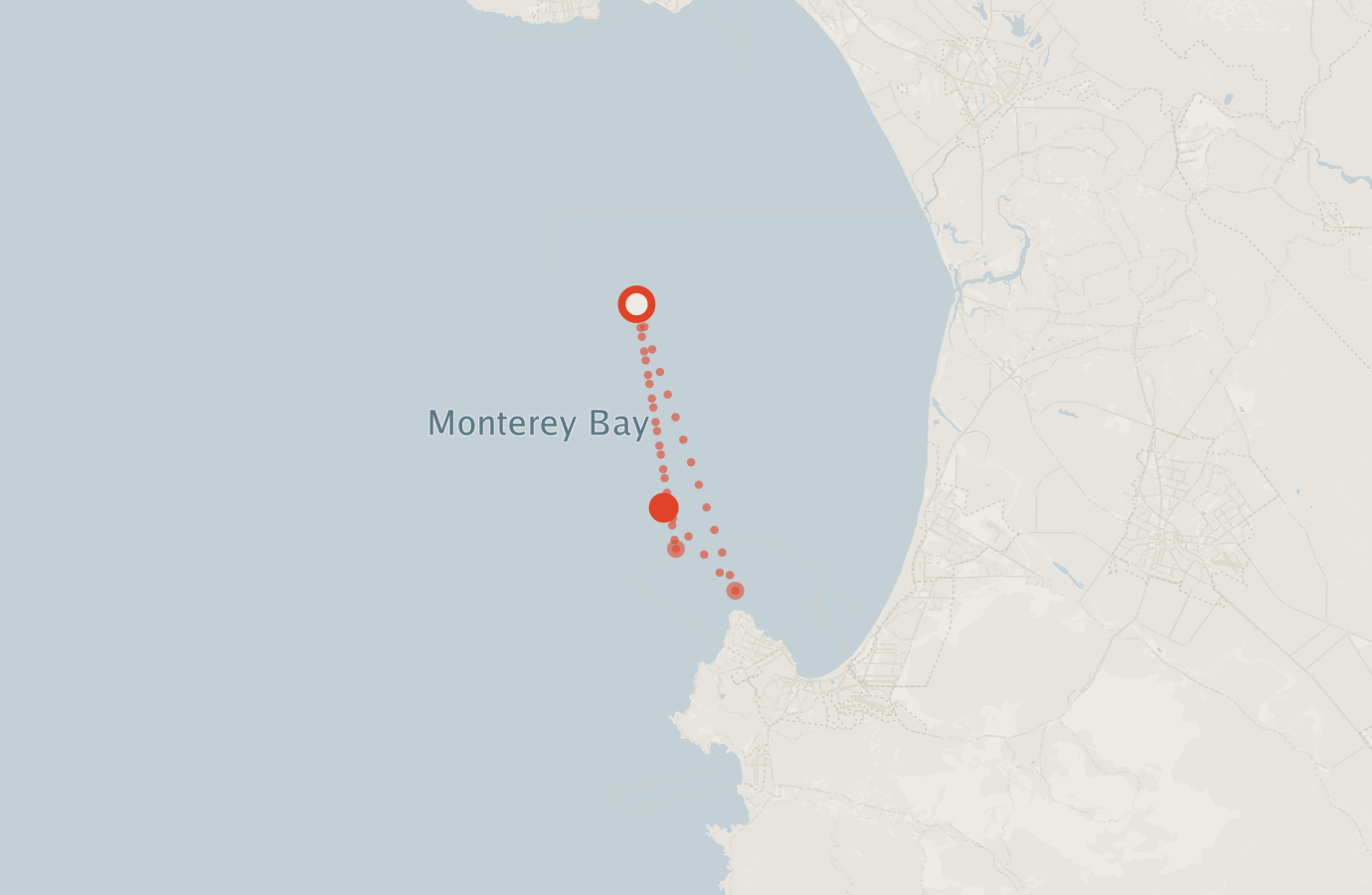 Activity map — real sighting points on an OpenStreetMap basemap
