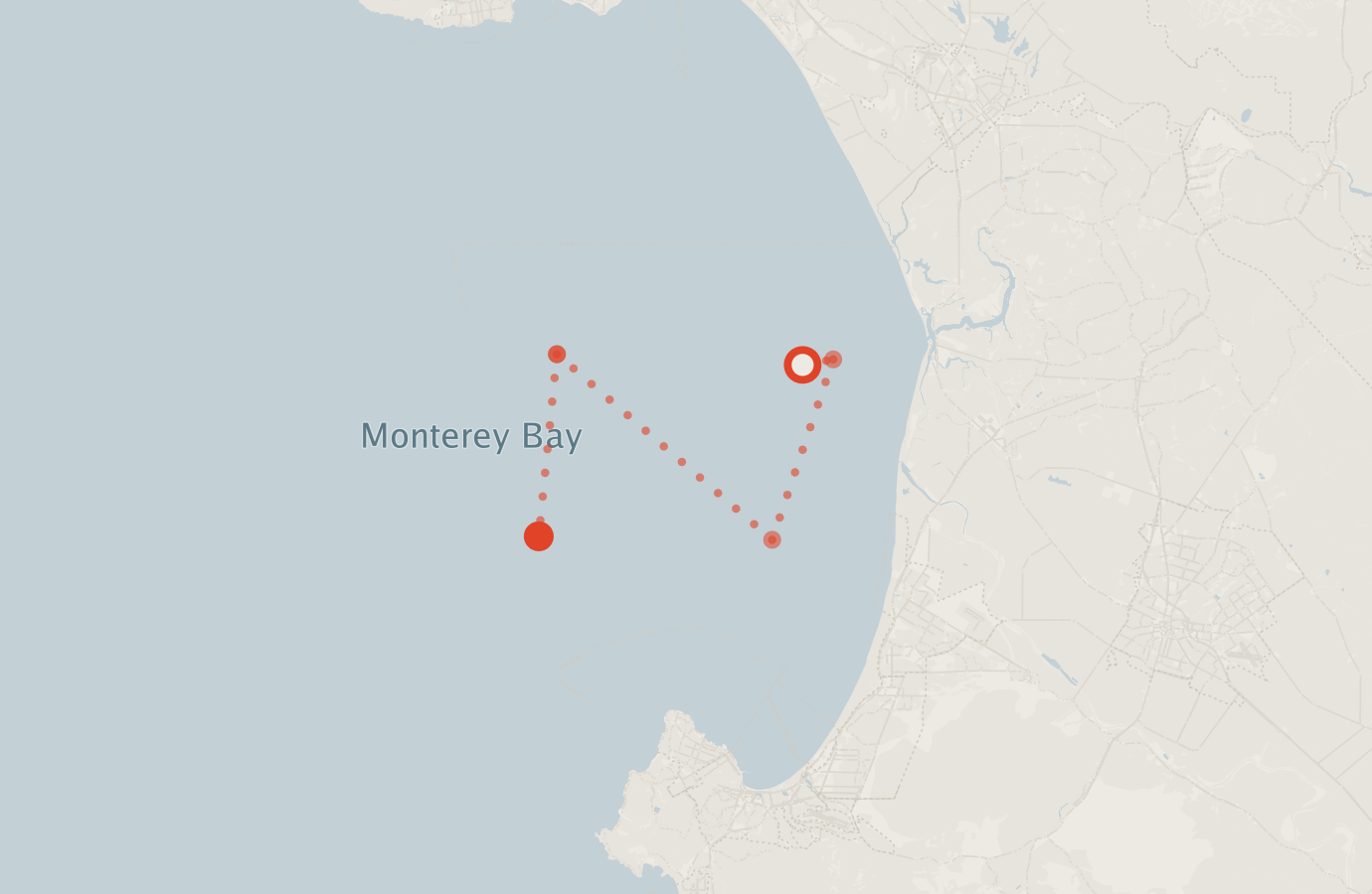 Activity map — real sighting points on an OpenStreetMap basemap