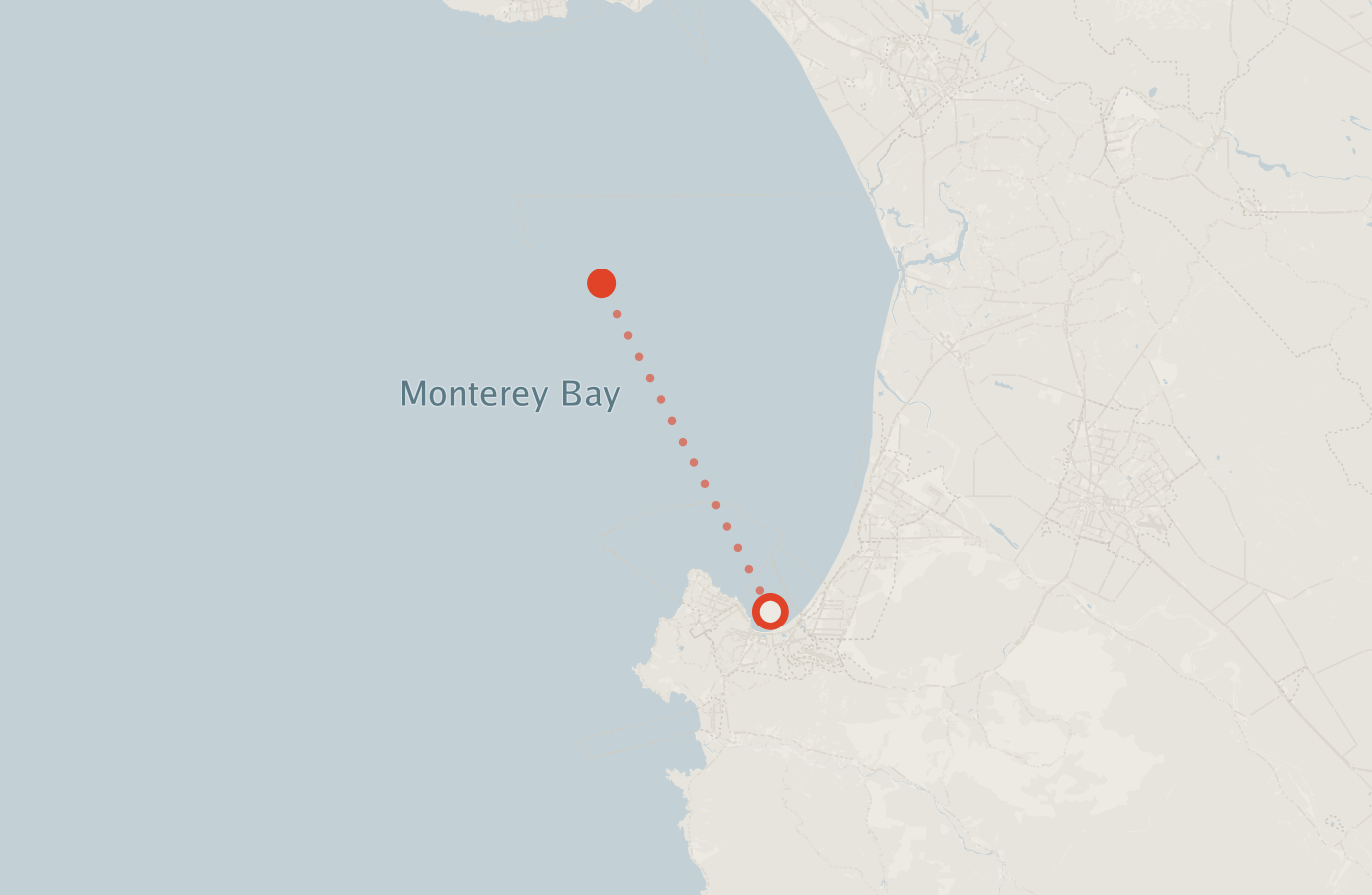 Activity map — real sighting points on an OpenStreetMap basemap