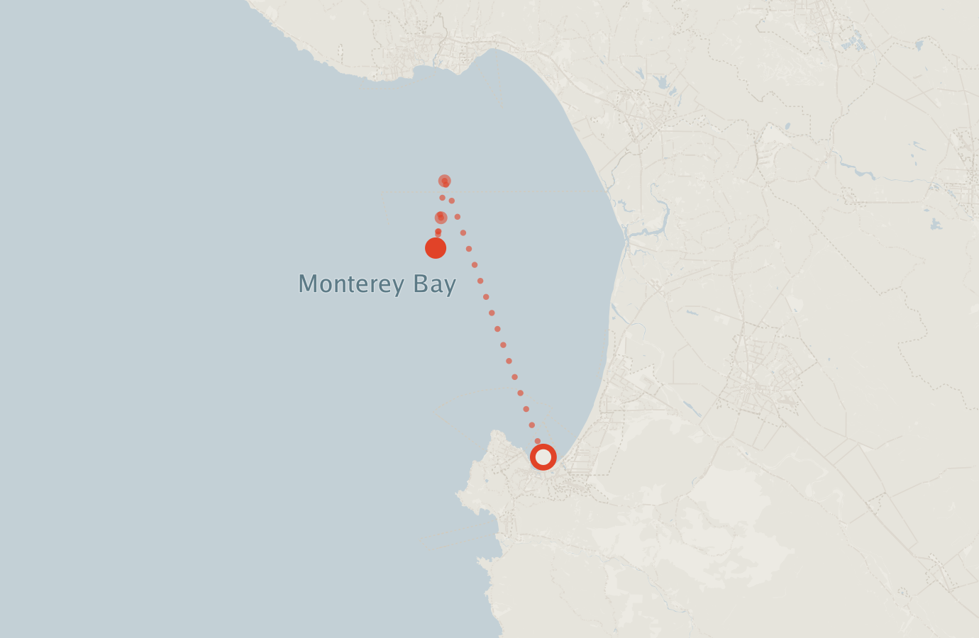 Activity map — real sighting points on an OpenStreetMap basemap