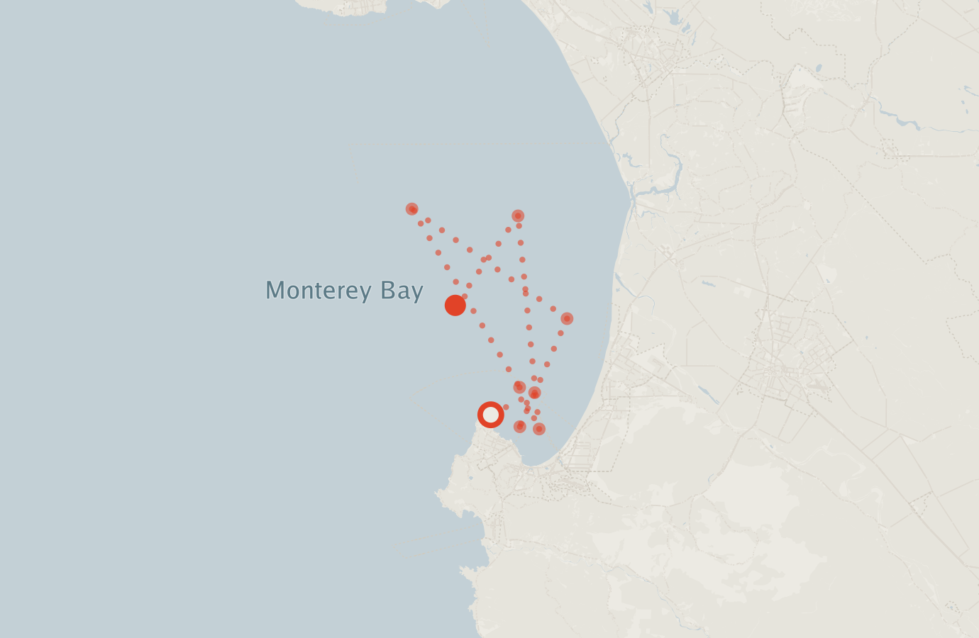 Activity map — real sighting points on an OpenStreetMap basemap