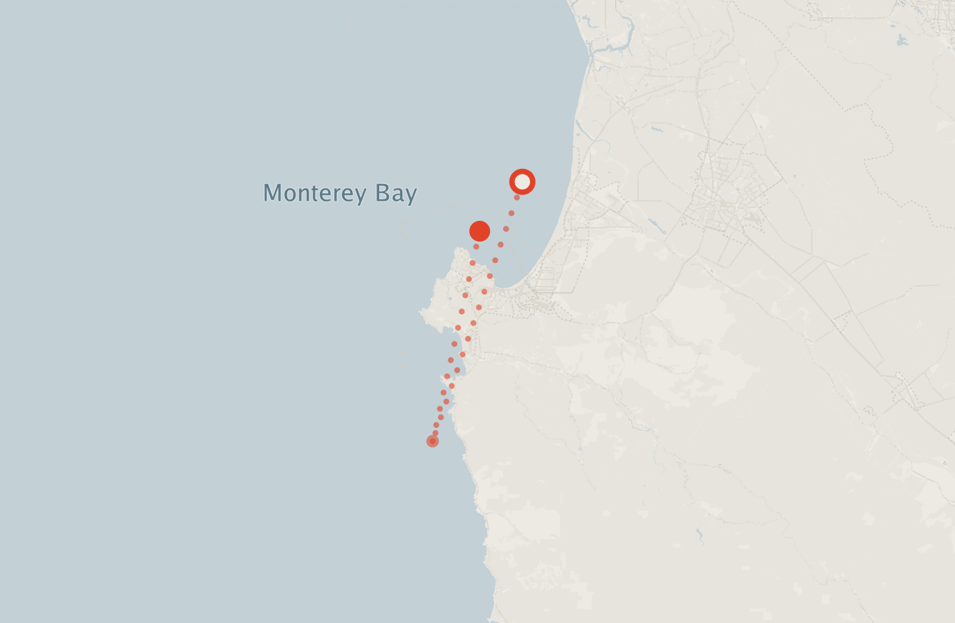 Activity map — real sighting points on an OpenStreetMap basemap