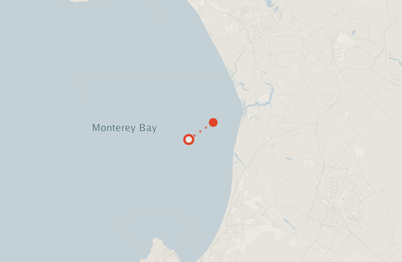 Activity map — real sighting points on an OpenStreetMap basemap
